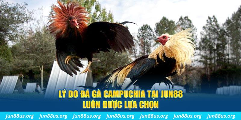 kuwin 789 tài xỉu nổ hũ là gì