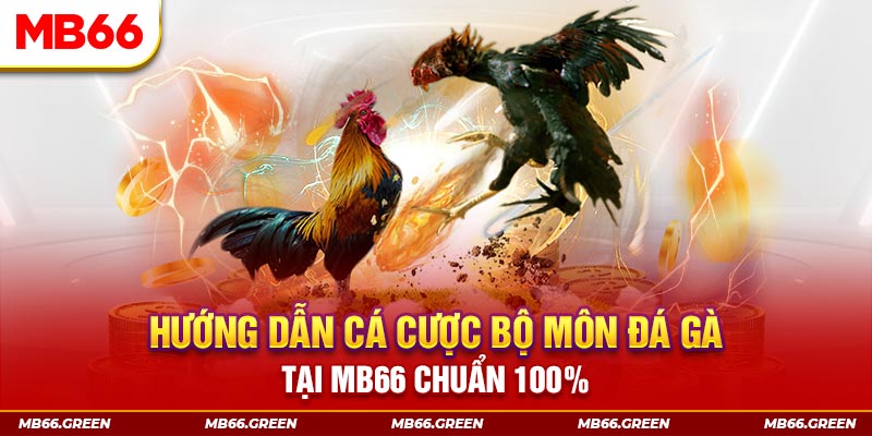 kuwin 789 xổ số bình định