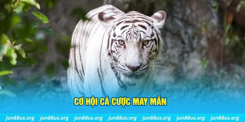 kuwin 789 hết slot la gì