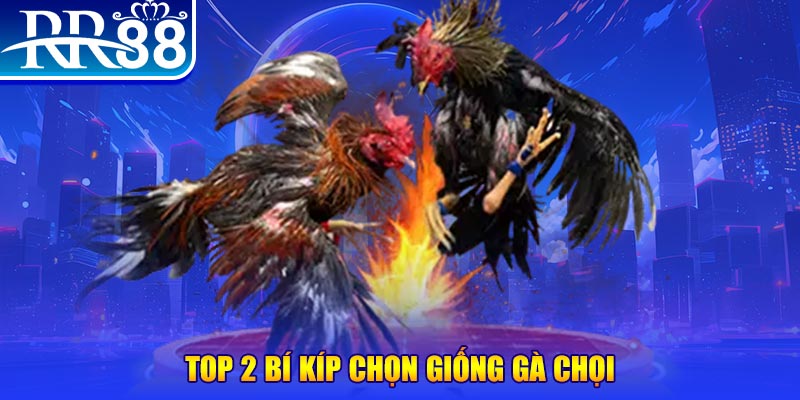 kuwin 789 đăng nhập poker số 1