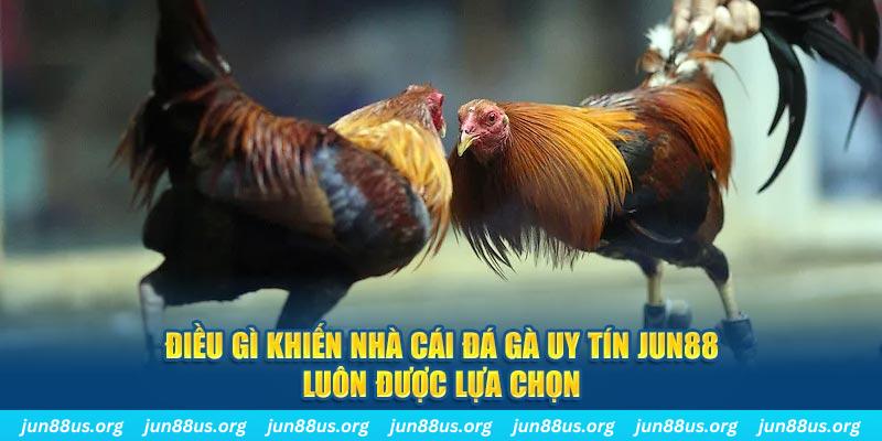 kuwin 789 qq88 nổ hũ bắn cá