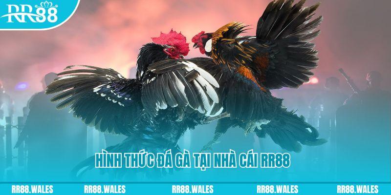 kuwin 789 PS Điện Tử
