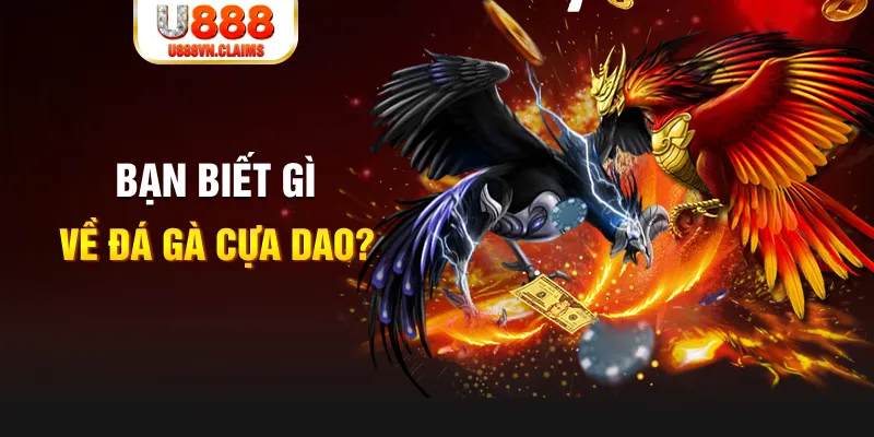kuwin 789 xổ số kiến thiết