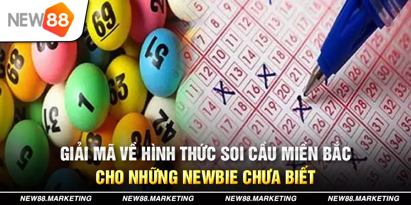 kuwin 789 đăng nhập mậu binh live