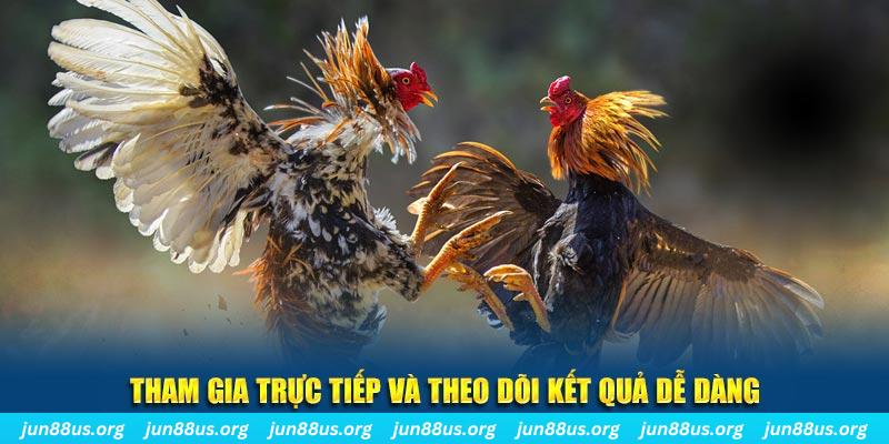 kuwin 789 đá gà trực tiếp bình luận viên