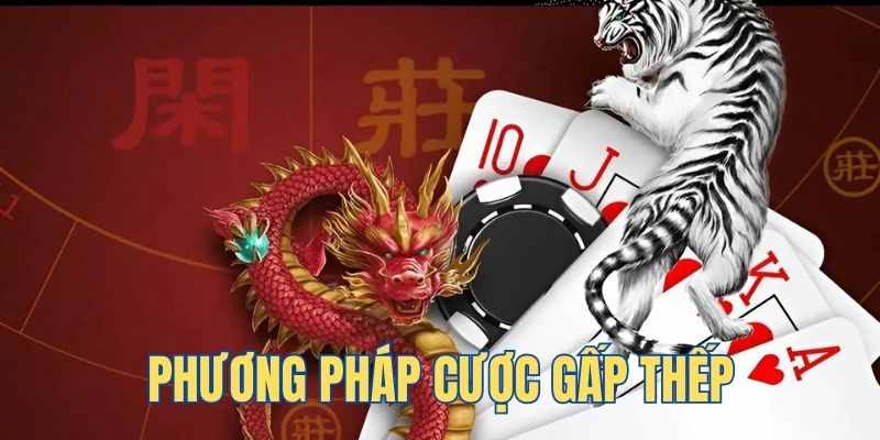 kuwin 789 ga choi