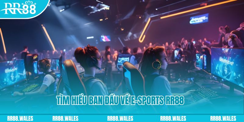 kuwin 789 Đĩa màu ace