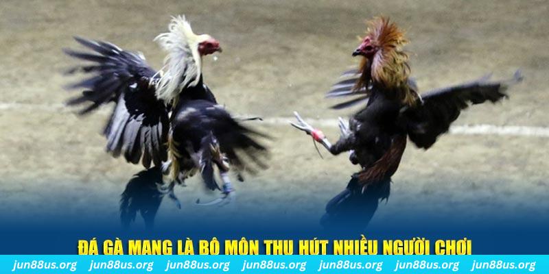kuwin 789 xổ số cà mau