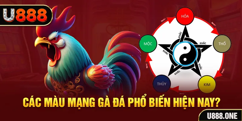 kuwin 789 đăng nhập mậu binh