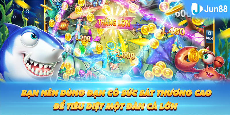 kuwin 789 Tung Đồng Xu