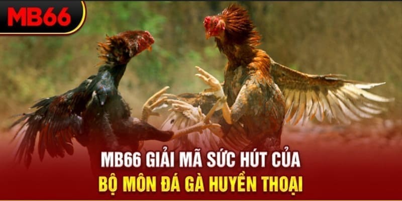 kuwin 789 Phi Đội Ưu Tú