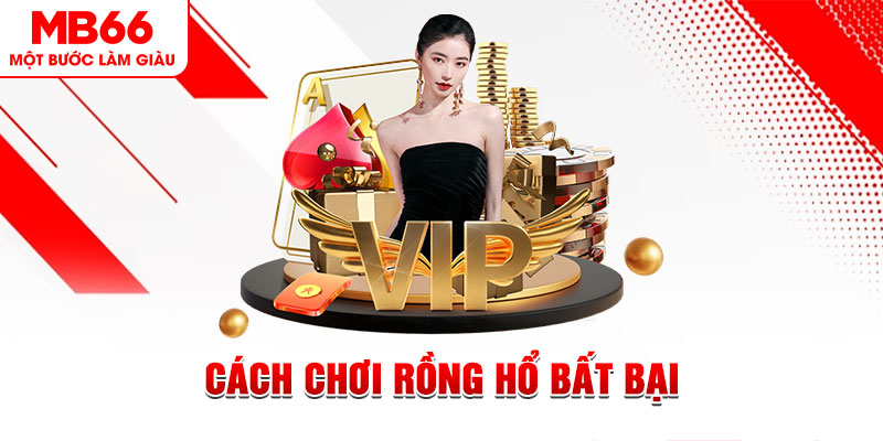 kuwin 789 gà chọi cậu thanh