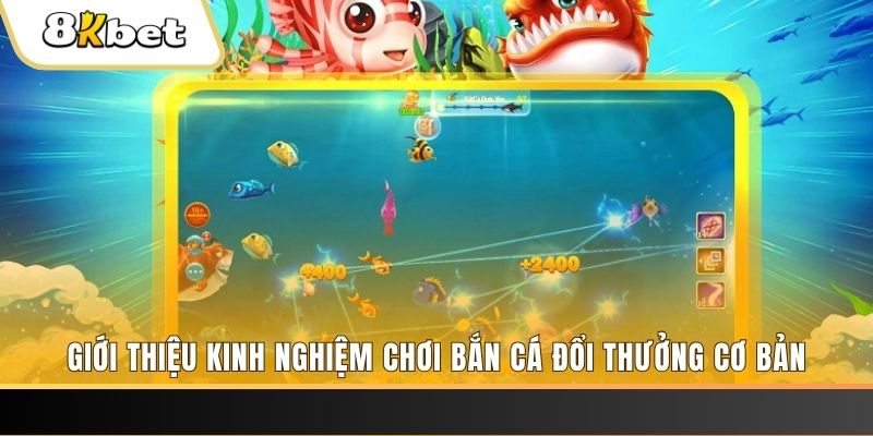 kuwin 789 xổ số miền bắc thứ năm hàng tuần