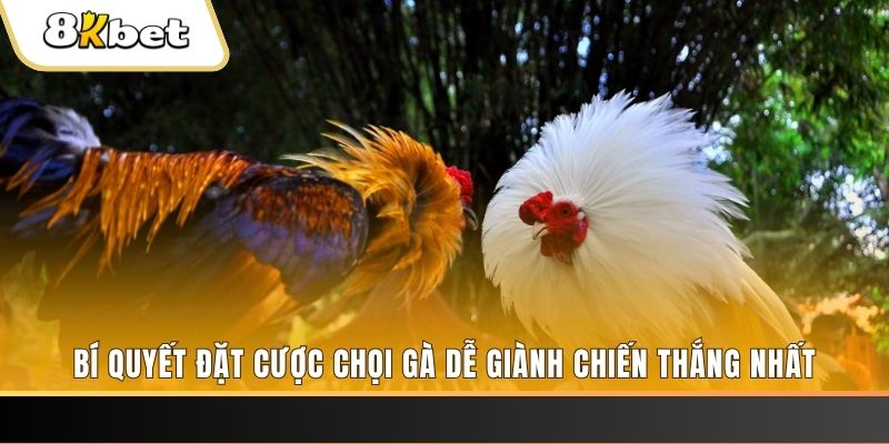 kuwin 789 Tài Xỉu 2