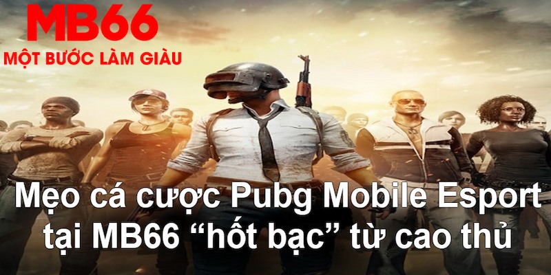 kuwin 789 gà chọi mộc hóa