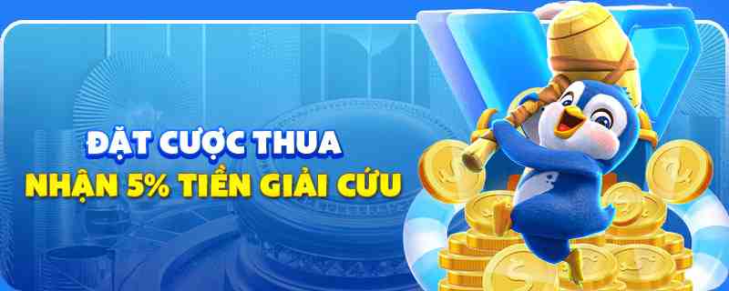 kuwin 789 gà chọi cu cần