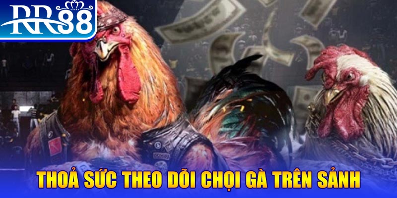kuwin 789 đá gà 88.com