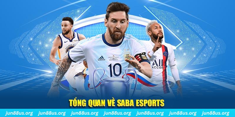 kuwin 789 gà chọi c1 tv trực tiếp hôm nay