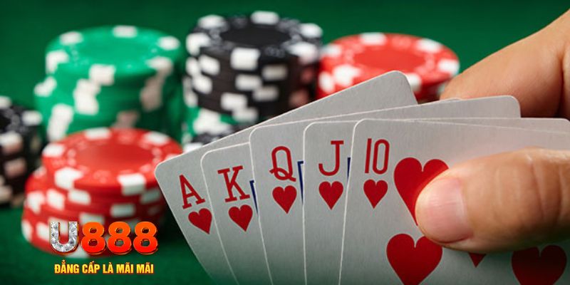 kuwin 789 trực tiếp đá gà